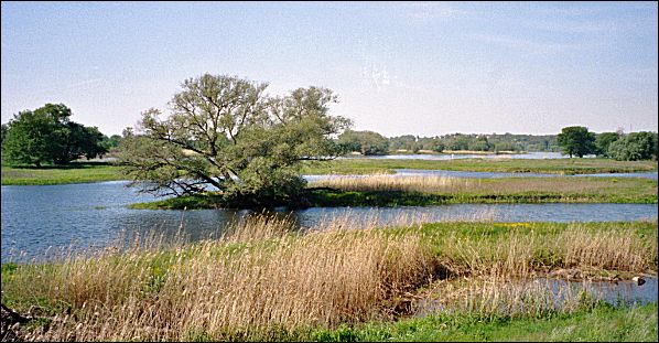  Lebuser Wasserland 