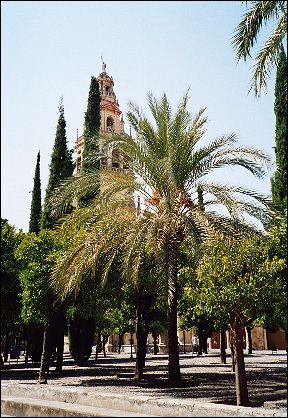  Mezquita / Córdoba 