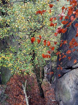  Herbst 