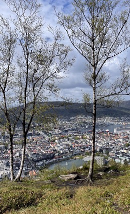  Bergen 